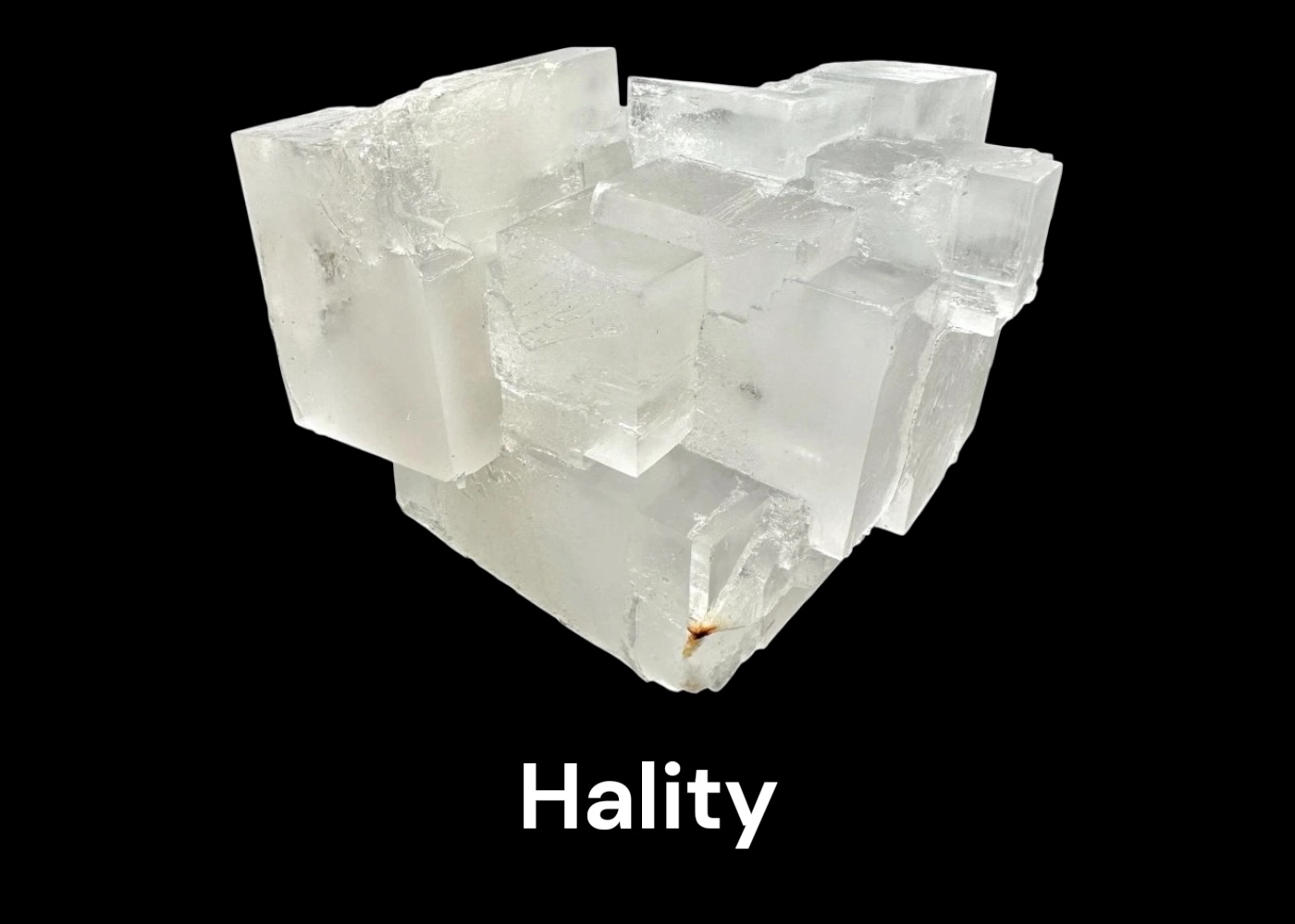 Hality